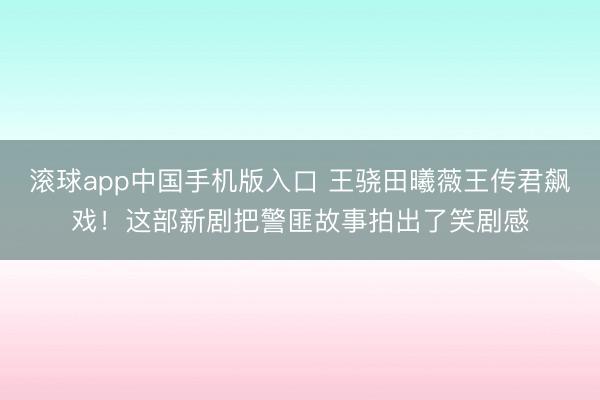 滚球app中国手机版入口 王骁田曦薇王传君飙戏！这部新剧把警匪故事拍出了笑剧感