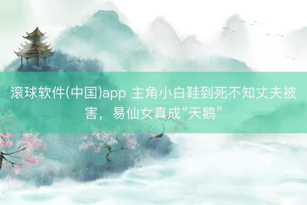 滚球软件(中国)app 主角小白鞋到死不知丈夫被害，易仙女真成“天鹅”
