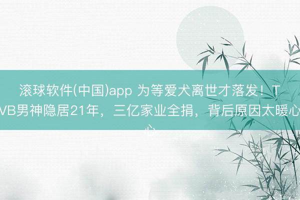 滚球软件(中国)app 为等爱犬离世才落发！TVB男神隐居21年，三亿家业全捐，背后原因太暖心