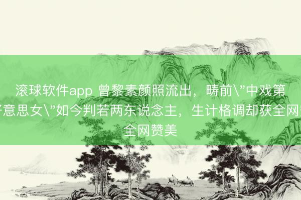 滚球软件app 曾黎素颜照流出，畴前