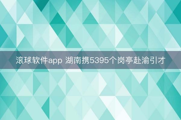 滚球软件app 湖南携5395个岗亭赴渝引才