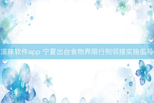 滚球软件app 宁夏出台食物界限行刑邻接实施倡导