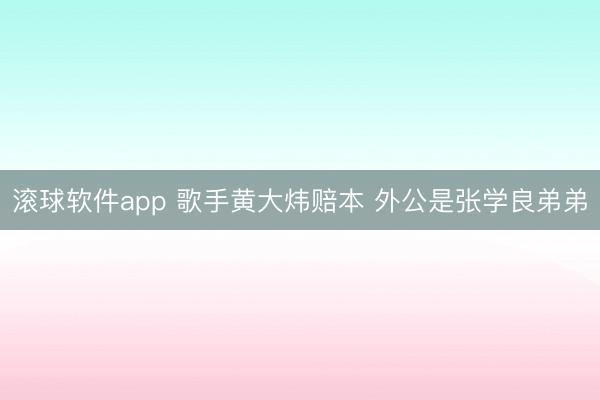 滚球软件app 歌手黄大炜赔本 外公是张学良弟弟