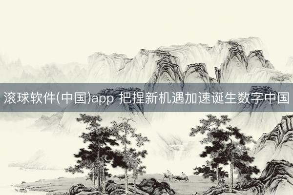 滚球软件(中国)app 把捏新机遇加速诞生数字中国