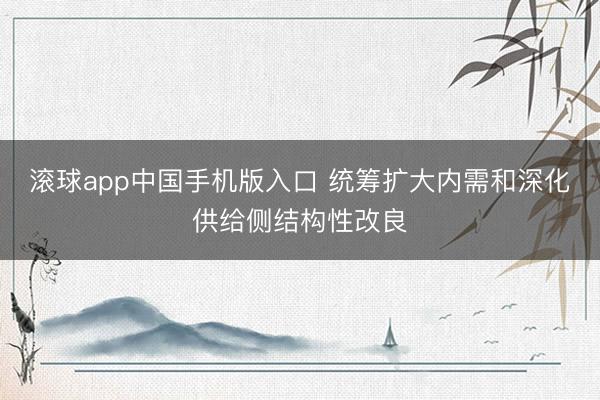 滚球app中国手机版入口 统筹扩大内需和深化供给侧结构性改良