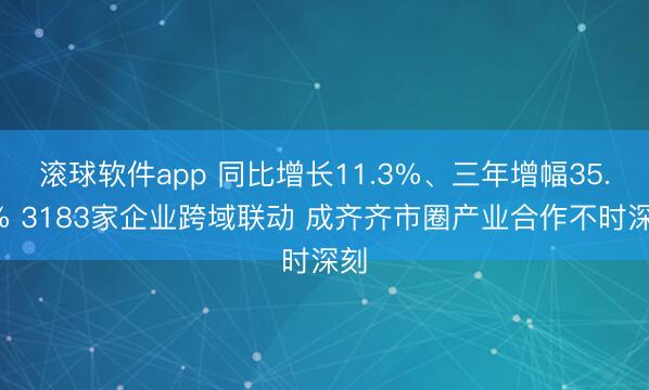 滚球软件app 同比增长11.3%、三年增幅35.6% 3183家企业跨域联动 成齐齐市圈产业合作不时深刻