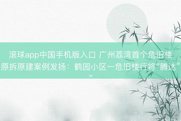 滚球app中国手机版入口 广州荔湾首个危旧楼原拆原建案例发扬：鹤园小区一危旧楼行将“腾达”