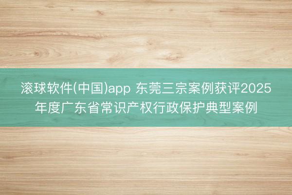 滚球软件(中国)app 东莞三宗案例获评2025年度广东省常识产权行政保护典型案例