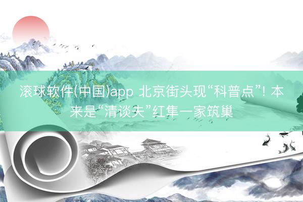 滚球软件(中国)app 北京街头现“科普点”! 本来是“清谈夫”红隼一家筑巢
