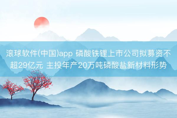 滚球软件(中国)app 磷酸铁锂上市公司拟募资不超29亿元 主投年产20万吨磷酸盐新材料形势