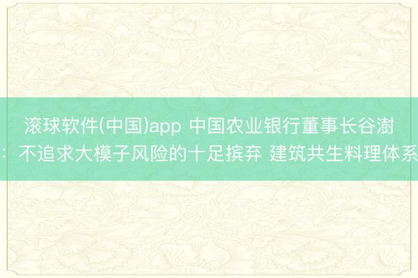 滚球软件(中国)app 中国农业银行董事长谷澍：不追求大模子风险的十足摈弃 建筑共生料理体系